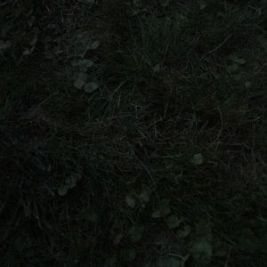 Meet your Posher, Katelyn